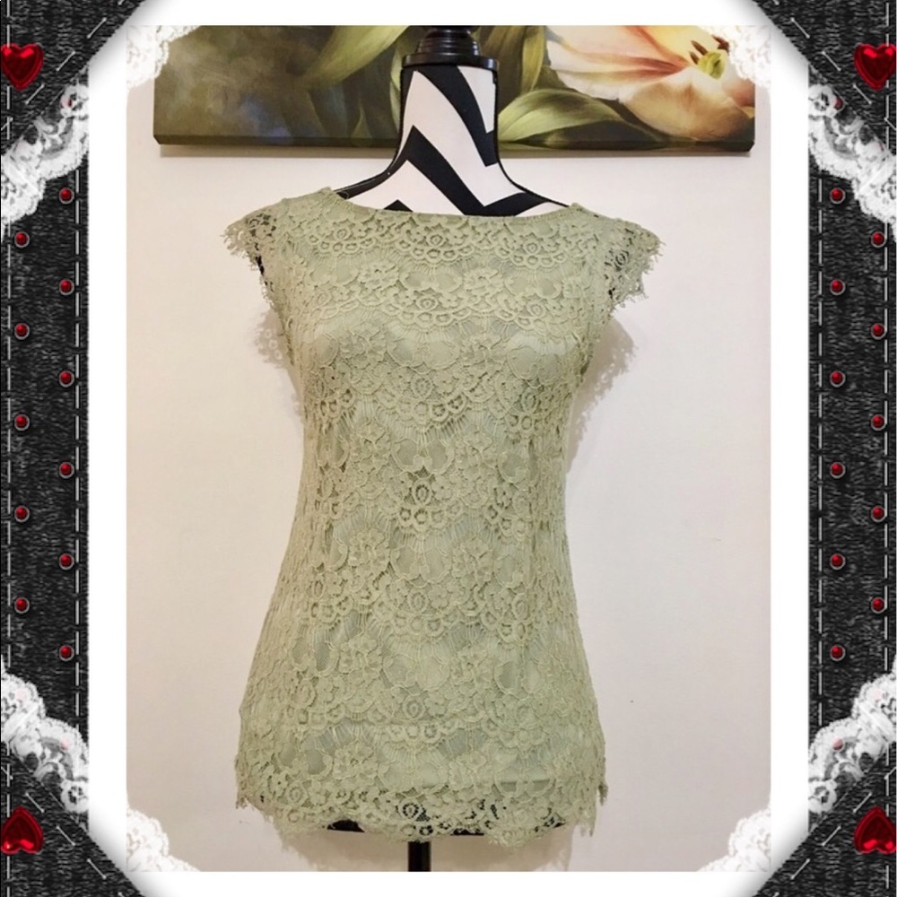 The Limited Lace Overlay Blouse - Picture 2 of 7